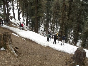 Shimla Narkanda Adventure Trip by Mannat Vacations